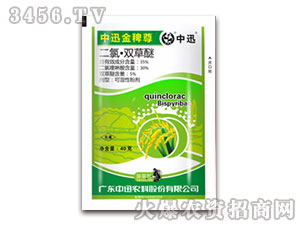 35%�����p����-��Ѹ�����