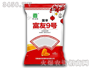 ���s���N-����9̖(h��o)-���f��