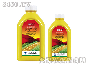 41%�����ݡ�ݬ-��o�n-���{(l��n)�r(n��ng)ˎ