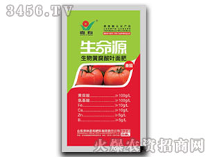 ���t���S�����~���-����Դ-����