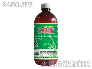 50%�Ҳݰ�-�G��