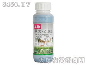 ���졤�Ҳݰ�-���z-�G��