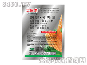 ���ס�ݬȥ��-������-�G��