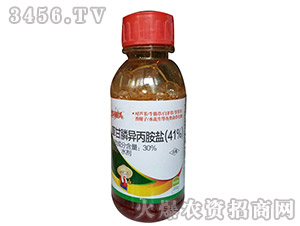 �ݸ��-�Z������