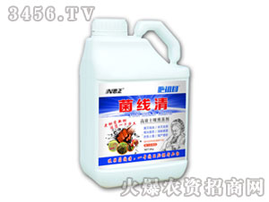 ������-����ĸ-����