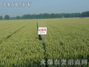 ɽ�r(n��ng)�C(j��)��2̖(h��o)-С��-�|�Ѻ�