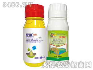 20%�����������-����ʩ-�G�µ�