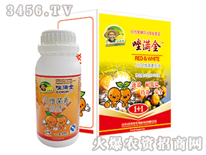 5%���S��������-��M��-�G�µ�