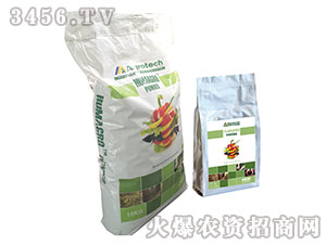 ������Ч��-��(y��u)����-����̩��