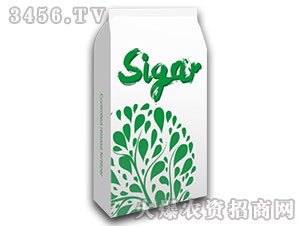 ��ጷ�-ጼ���-Ψ�ؠ�