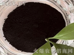 �ἃ��ֲ���-����