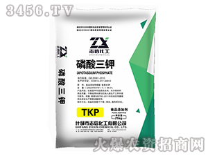 �������-־�Ż���-�|������