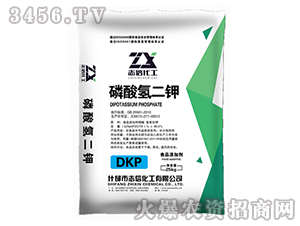 �������-־�Ż���-�|������