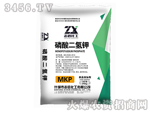 ��������-־�Ż���-�|������