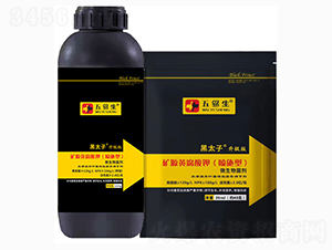 �V�V���L�͵VԴ�S�����-��̫��-������