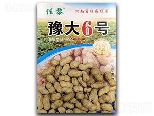 ԥ��6̖�����N��-����-�P���N�I(y��)