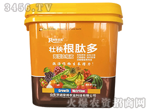 �������Ķ�-�A���s��