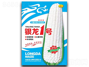 銀龍1號-玉米種子-龍大種業(yè)