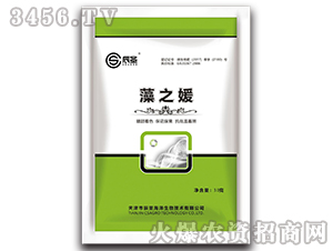 ��֮��-��ʥ