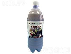 �����ޏ�(f��)��-�ο�ֲ��-������