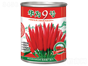 �A��9̖-�����N��-�A��N�I(y��)