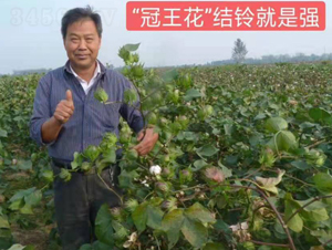 ������Ч���D-���SԪ