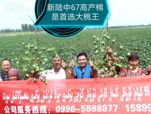 �����67�߮a��-���SԪ