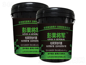 �ݲ�ѿ�ߗU��-������܊-�����r(n��ng)