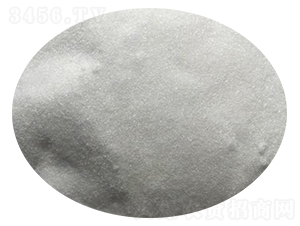 �߼��������-�|���S