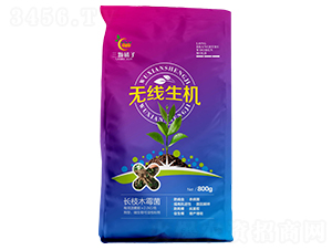 �L֦ľù��-�o�����C-���w����