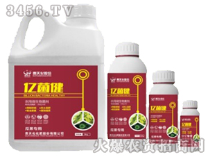 農(nóng)用微生物菌劑-億菌?。ü瞎麑Ｓ茫?貴天化