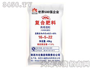 ����������ͺϷ�16-5-22-�d�����F