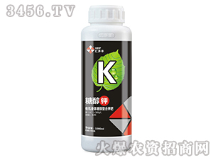 �ЙCҺ�w�Ǵ�����⛷�-�Ǵ��-�R���S