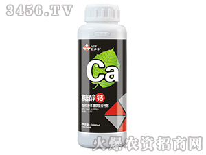 �ЙCҺ�w�Ǵ������}��-�Ǵ��}-�R���S