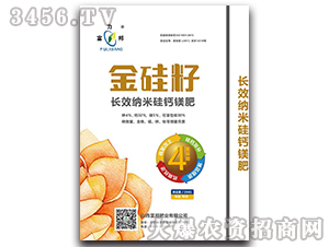 �L(zh��ng)Ч�{�׹��}�V��-�����-������