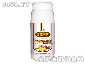 ������-׿��-����