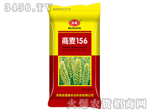 ����156-С���N��-����