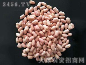 ���������N��-ʢ�r(n��ng)�N�I(y��)