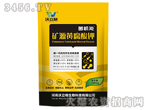 �VԴ�S�����-���C̎-������