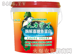 ø������~����-����ɳ��-�����d