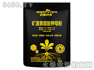 �VԴ�S�����ĸ��-�~���~��