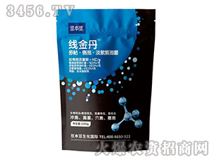 ��ճ����(c��)�ߡ��������߾�-����-�_��������