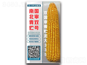 雙國審青貯龍大335-玉米種子-龍大種業(yè)
