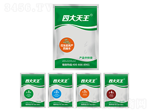 �������߮a(ch��n)�ı��S-�Ĵ�����-��巉�