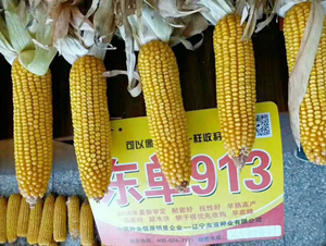 �|��913-���׷N��-�|��