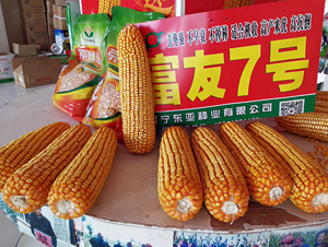 ����7̖(h��o)-���׷N��-�|��