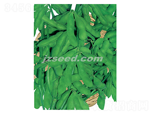 ���r��̖(h��o)-ë���N��-�F(xi��n)���N�I(y��)