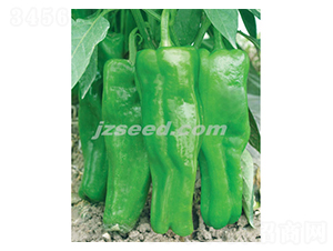 ������̖(h��o)-�����N��-�F(xi��n)���N�I(y��)