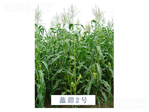 ���2̖-���׷N��-���