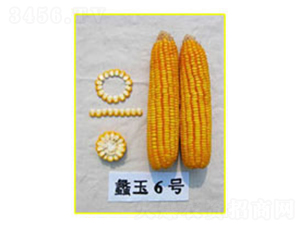 ���6̖-���׷N��-���